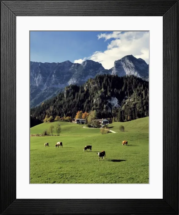 Framed Print : Germany, Bavaria, Ramsau. Chalets offer accommodation and a beautiful view near Ramsau in Bavaria Framed Print : Germany, Bavaria, Ramsau. Chalets offer accommodation and a beautiful view near Ramsau in Bavaria