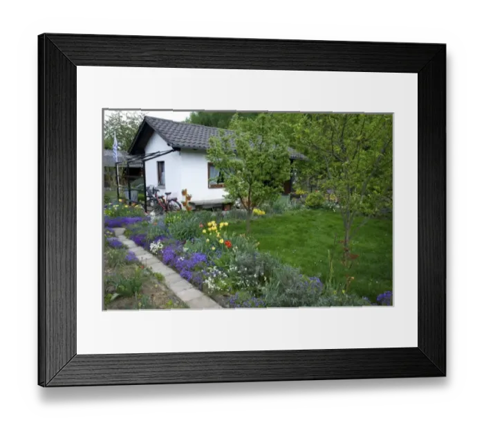 Framed Print : Europe, Germany, Bavaria, Straubing, cottage garden in Spring Framed Print : Europe, Germany, Bavaria, Straubing, cottage garden in Spring