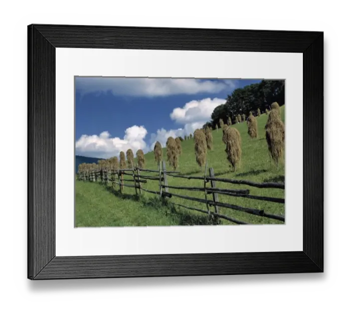Framed Print : Germany, Bavaria, Ramsau. Hay dries along the Alpenstreasse near Ramsau, Bavaria, Germany