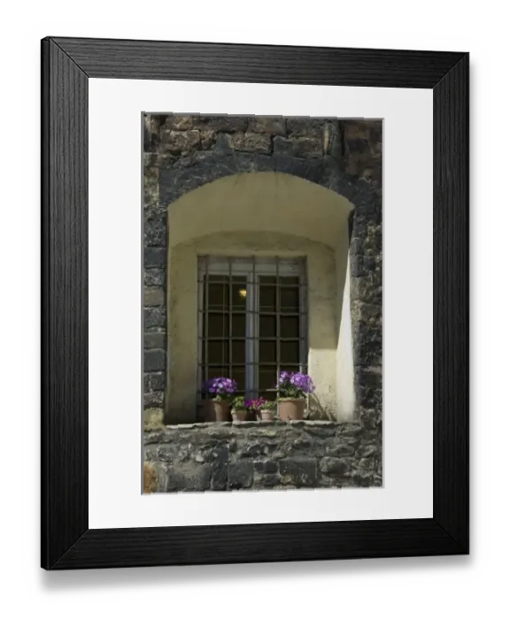Framed Print : Europe, Germany, Bavaria, Regensburg, flower pots on windowsill Framed Print : Europe, Germany, Bavaria, Regensburg, flower pots on windowsill