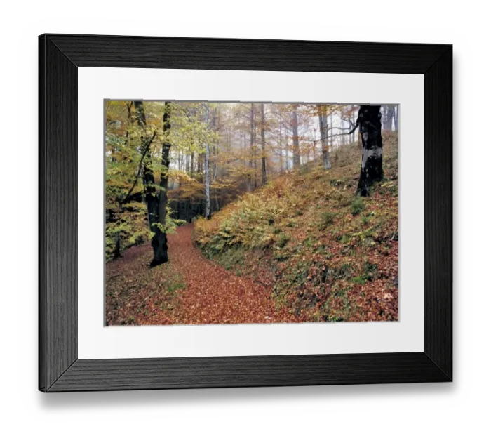 Framed Print : Germany, Bavaria, Ramsau. A trail leads off the Deutsche Alpenstrasse near Ramsau in Bavaria Framed Print : Germany, Bavaria, Ramsau. A trail leads off the Deutsche Alpenstrasse near Ramsau in Bavaria