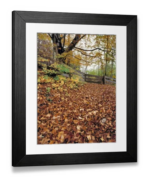 Framed Print : A wooden fence near Ramsau in Bavaria, Germany, blocks a leaf-covered trail Framed Print : A wooden fence near Ramsau in Bavaria, Germany, blocks a leaf-covered trail