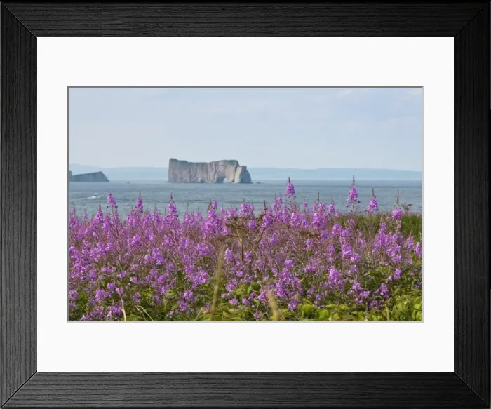 Framed Print : Quebec, Canada. Ile Bonaventure offshore of Perc