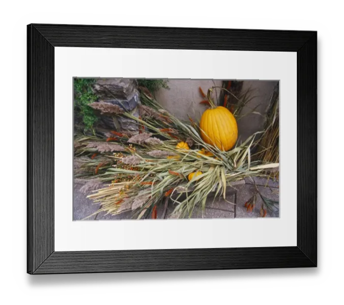 Framed Print : Canada, Quebec, Quebec City, fall decor Framed Print : Canada, Quebec, Quebec City, fall decor