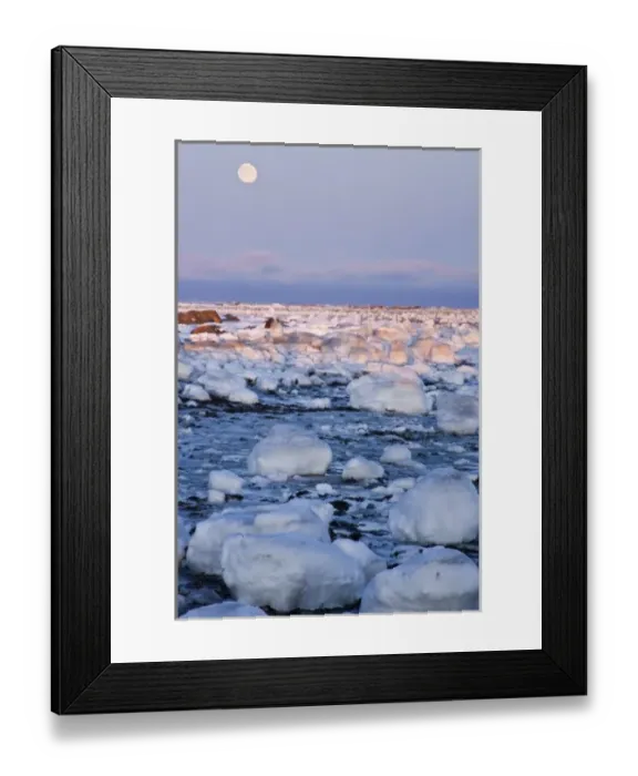 Framed Print : Canada, Hudson Bay. Sunset and full moon rising on ice-covered rocks Framed Print : Canada, Hudson Bay. Sunset and full moon rising on ice-covered rocks
