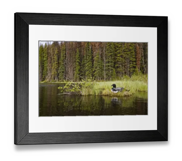 Framed Print : Canada, British Columbia Framed Print : Canada, British Columbia
