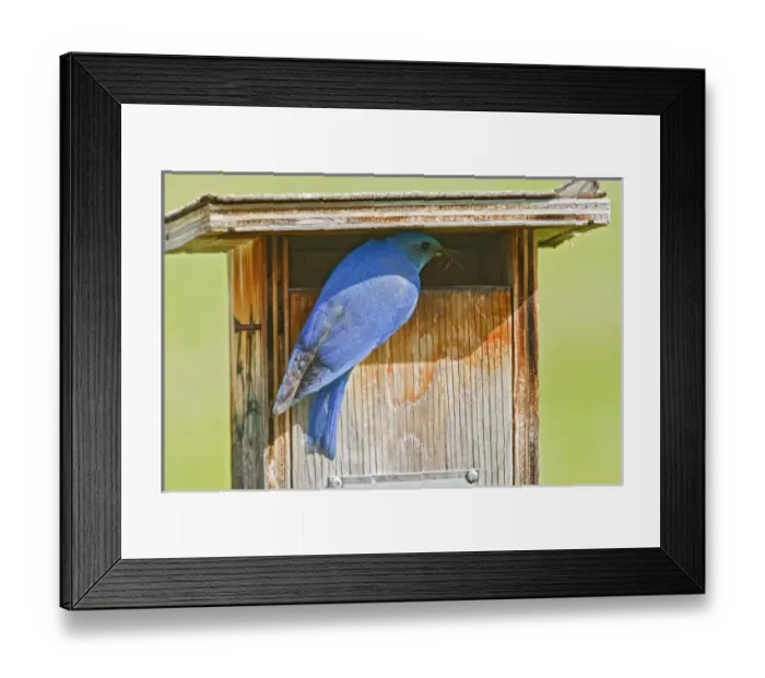 Framed Print : Canada, British Columbia Framed Print : Canada, British Columbia