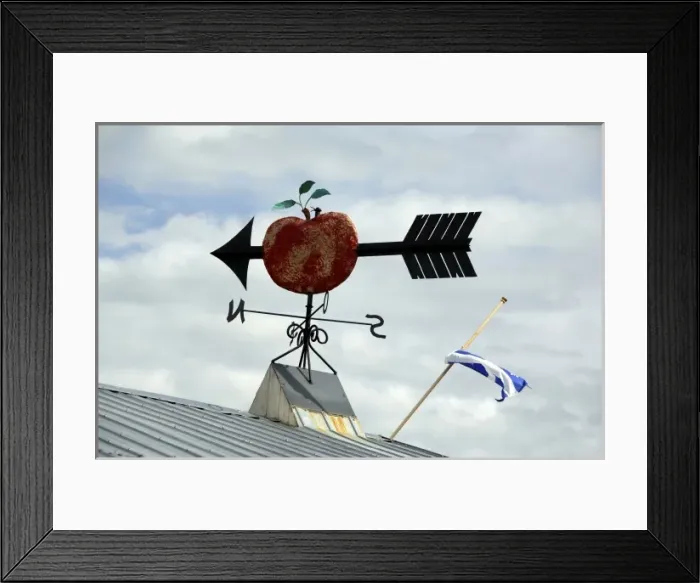 Framed Print : Canada, Quebec, L isle-aux-Coudres, Charlevoix region. Verger Pedneault historic apple orchard Framed Print : Canada, Quebec, L isle-aux-Coudres, Charlevoix region. Verger Pedneault historic apple orchard