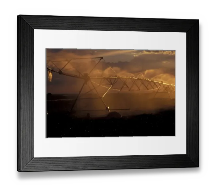 Framed Print : Sprinkler irrigation Framed Print : Sprinkler irrigation