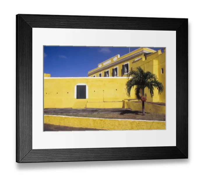 Framed Print : Caribbean, St Croix, Christiansted, palm with berries in front of Ft Christian Framed Print : Caribbean, St Croix, Christiansted, palm with berries in front of Ft Christian
