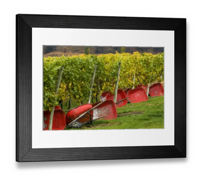 Framed Print : Canada, British Columbia Framed Print : Canada, British Columbia