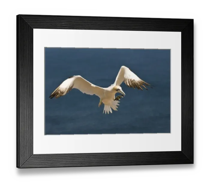 Framed Print : Canada, Quebec Framed Print : Canada, Quebec