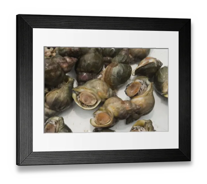Framed Print : Canada, Quebec