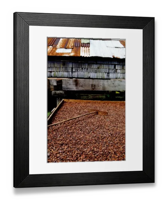 Framed Print : Caribbean, Lesser Antilles, West Indies, Saint Lucia, Soufriere. Fond Doux Estate Framed Print : Caribbean, Lesser Antilles, West Indies, Saint Lucia, Soufriere. Fond Doux Estate