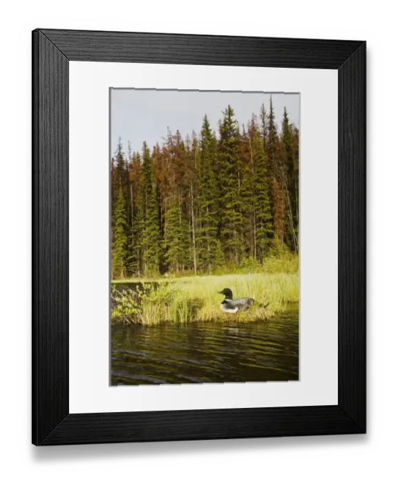 Framed Print : Canada, British Columbia Framed Print : Canada, British Columbia