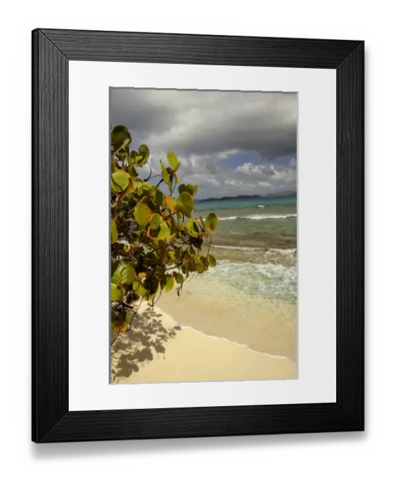 Framed Print : Caribbean, US Virgin Islands Framed Print : Caribbean, US Virgin Islands