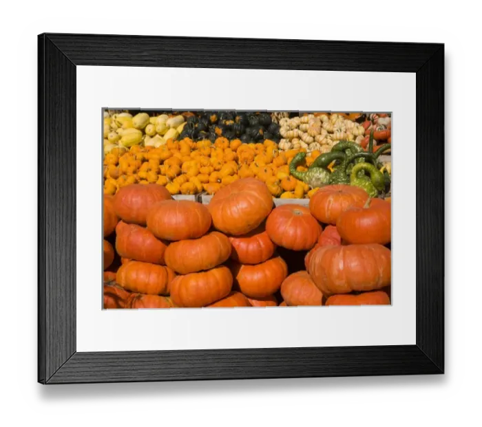 Framed Print : Pumpkins and squash at market Montreal, Quebec