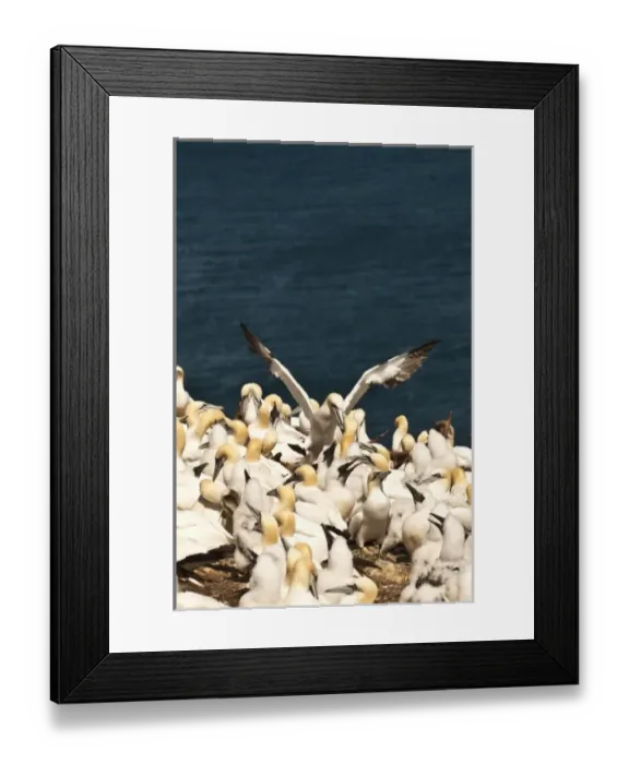 Framed Print : Canada, Quebec