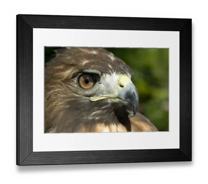 Framed Print : Caribbean, US Virgin Islands Framed Print : Caribbean, US Virgin Islands