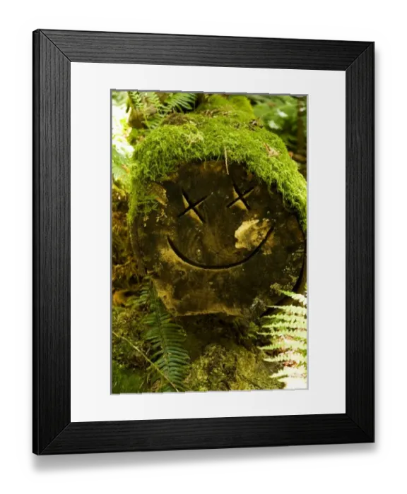 Framed Print : Canada, British Columbia Framed Print : Canada, British Columbia