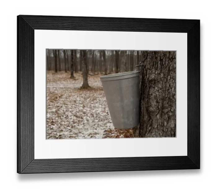 Framed Print : Canada, Quebec, Saint-Augustin-de-Desmaures. Le Chemin du Roy (aka Sugar Shack)