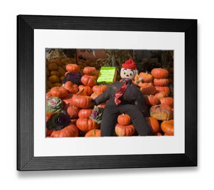 Framed Print : Pumpkins and scarecrow at a market in Montreal, Quebec, Canada Framed Print : Pumpkins and scarecrow at a market in Montreal, Quebec, Canada