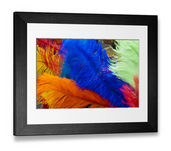Framed Print : Montreal, Canada. Caribbean carnival in downtown Montreal Framed Print : Montreal, Canada. Caribbean carnival in downtown Montreal