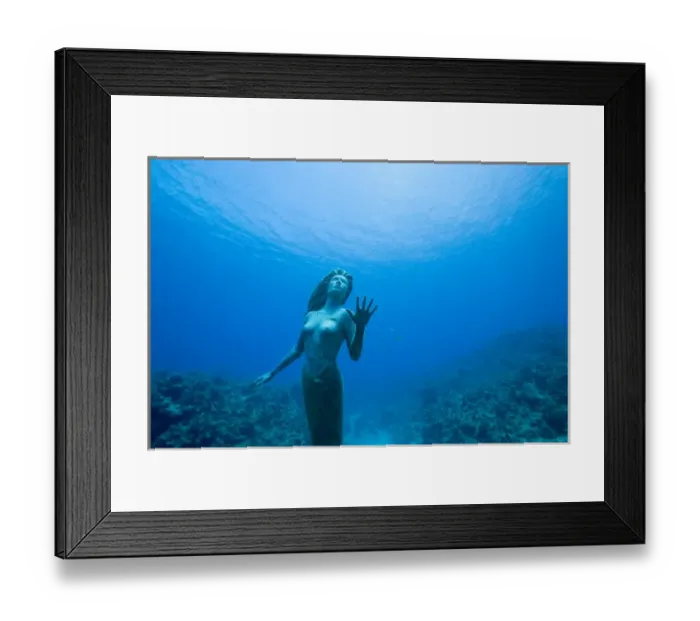 Framed Print : Cayman Islands, Grand Cayman Island, Underwater view mermaid sculpture in shallow Framed Print : Cayman Islands, Grand Cayman Island, Underwater view mermaid sculpture in shallow