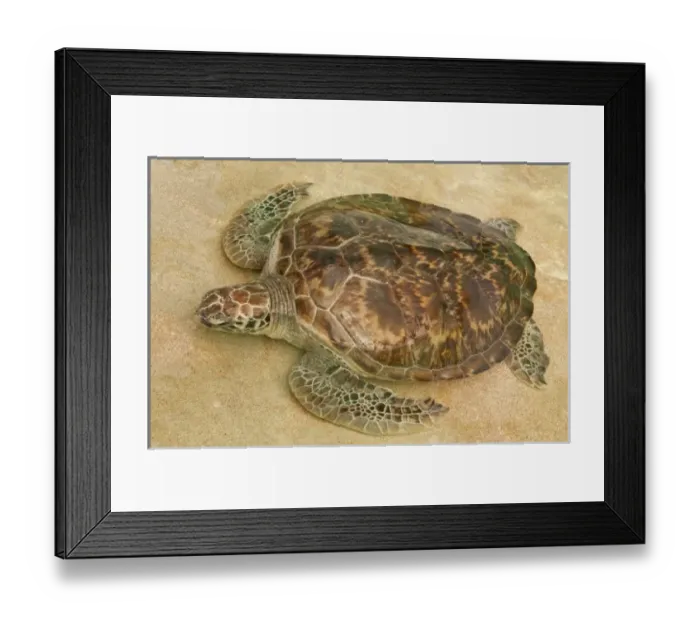 Framed Print : Caribbean, St. Vincent, Grenadines