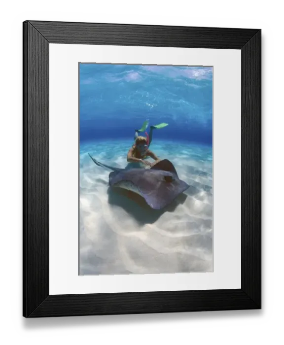 Framed Print : Stingray City, Grand Cayman, Cayman Islands, Caribbean. MR Framed Print : Stingray City, Grand Cayman, Cayman Islands, Caribbean. MR
