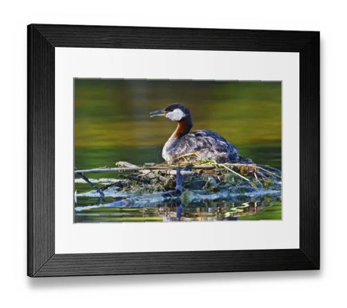 Framed Print : Canada, British Columbia