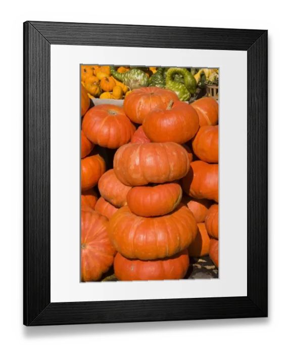 Framed Print : Pumpkins at market Montreal, Quebec Framed Print : Pumpkins at market Montreal, Quebec