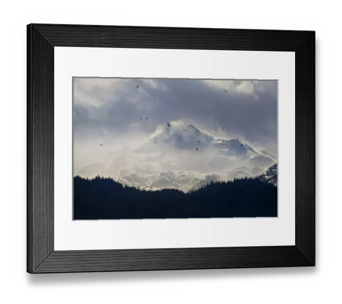 Framed Print : USA, Alaska, Kachemak Bay State Park. Clouds and mist swirl around a mountain peak Framed Print : USA, Alaska, Kachemak Bay State Park. Clouds and mist swirl around a mountain peak