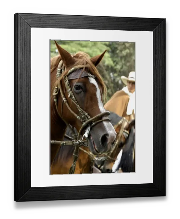 Framed Print : South America, Peru Framed Print : South America, Peru
