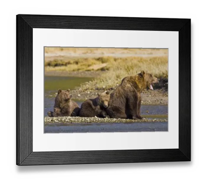 Framed Print : USA, North America, Alaska