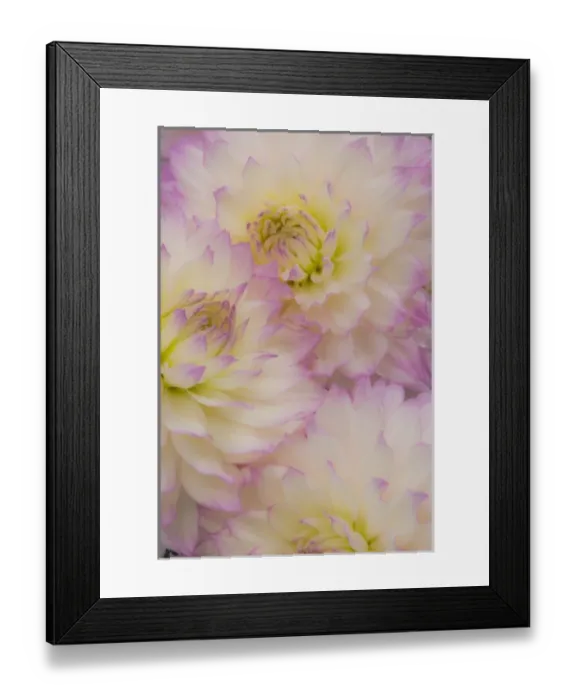 Framed Print : USA, North America, Alabama Framed Print : USA, North America, Alabama