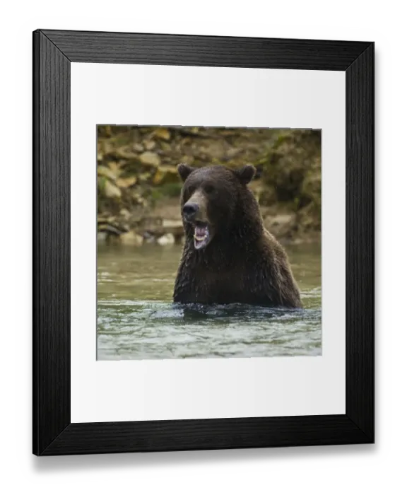 Framed Print : USA, North America, Alaska Framed Print : USA, North America, Alaska