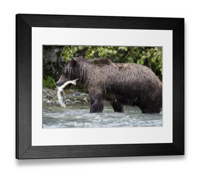 Framed Print : USA, North America, Alaska