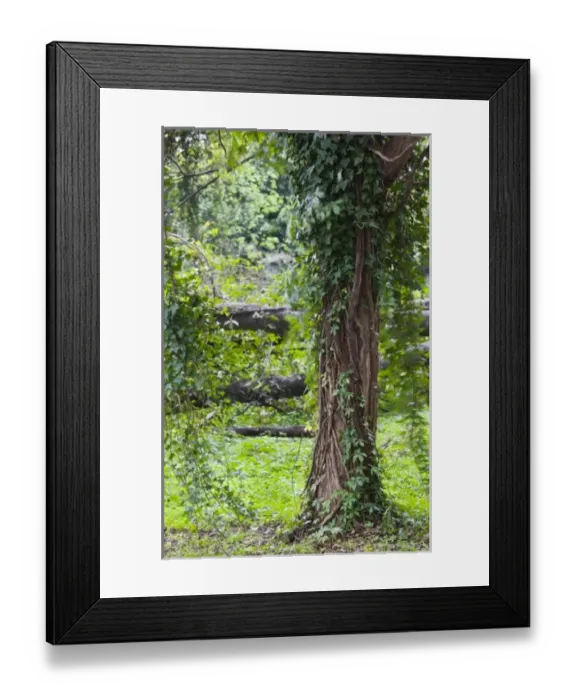 Framed Print : USA, North America, Alabama Framed Print : USA, North America, Alabama