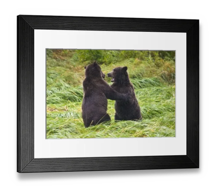 Framed Print : USA, North America, Alaska