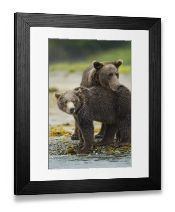 Framed Print : USA, North America, Alaska Framed Print : USA, North America, Alaska