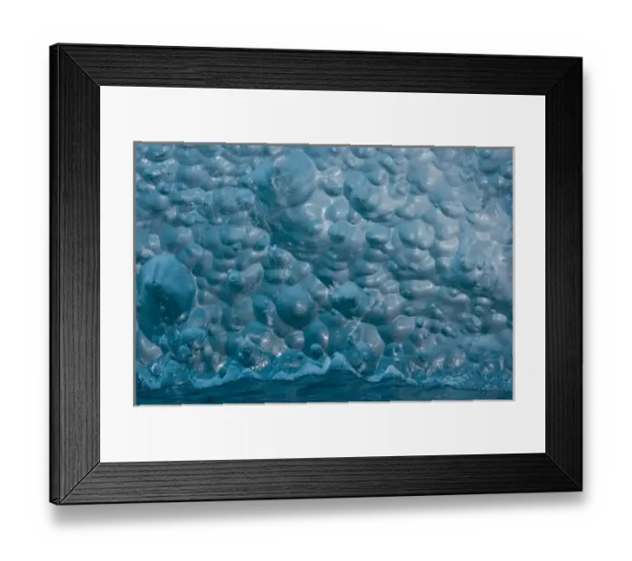 Framed Print : USA, Alaska, Tongass National Forest, Tracy Arm - Fords Terror Wilderness, Detail