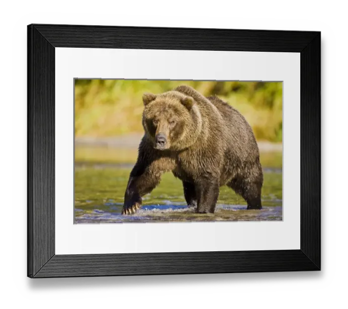 Framed Print : USA, North America, Alaska Framed Print : USA, North America, Alaska