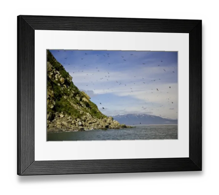 Framed Print : USA. Alaska. Bird Island in Lake Clark NP
