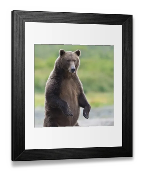 Framed Print : USA, North America, Alaska