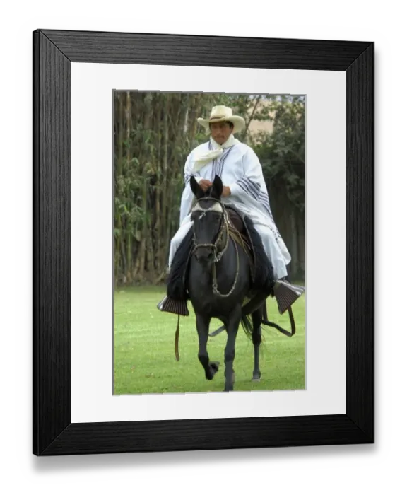 Framed Print : South America, Peru, Lima. Historic Peruvian Paso horse ranch, Chacra Tres Canas Framed Print : South America, Peru, Lima. Historic Peruvian Paso horse ranch, Chacra Tres Canas