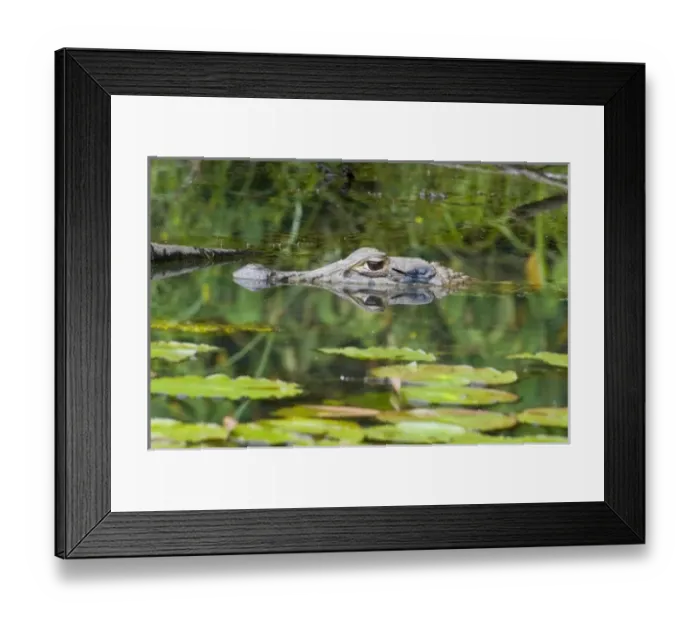 Framed Print : South America, Peru Framed Print : South America, Peru