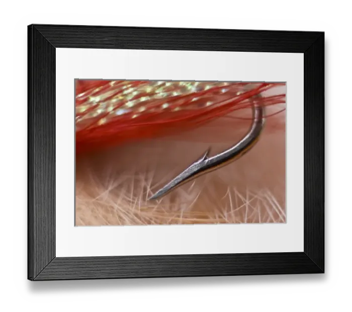 Framed Print : USA, Alaska, Lake Clark National Park. Macro of a fishing hook against red, gold Framed Print : USA, Alaska, Lake Clark National Park. Macro of a fishing hook against red, gold