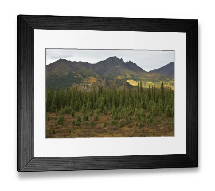 Framed Print : USA, North America, Alaska
