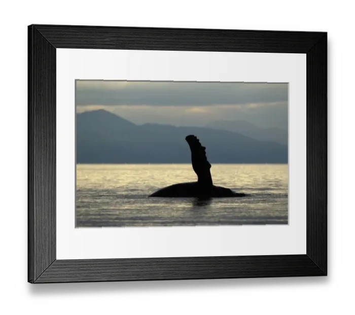 Framed Print : USA, North America, Alaska